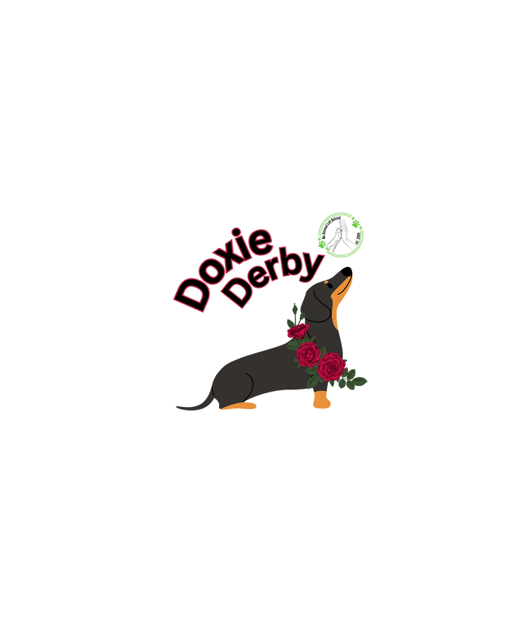 Doxie Derby